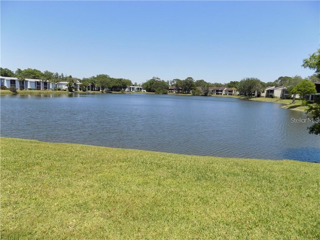 303 WOODLAKE WYNDE, OLDSMAR, FL, 34677