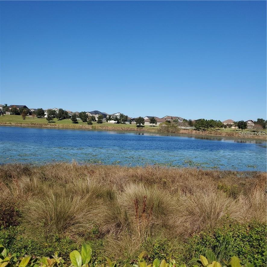 15262 NIGHT HERON DR, WINTER GARDEN, FL, 34787