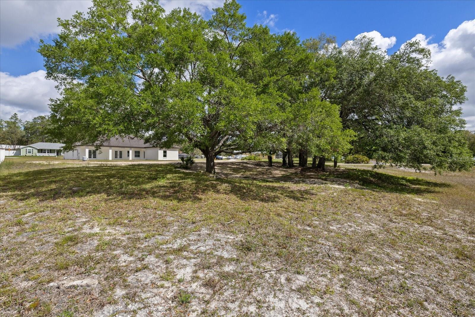 7372 MADRID RD, WEEKI WACHEE, FL, 34613