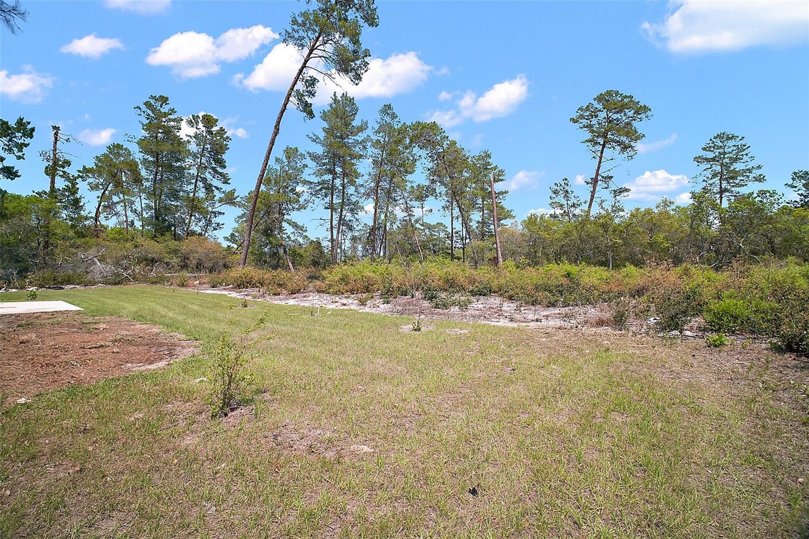 17787 SW 22ND AVE, OCALA, FL, 34473