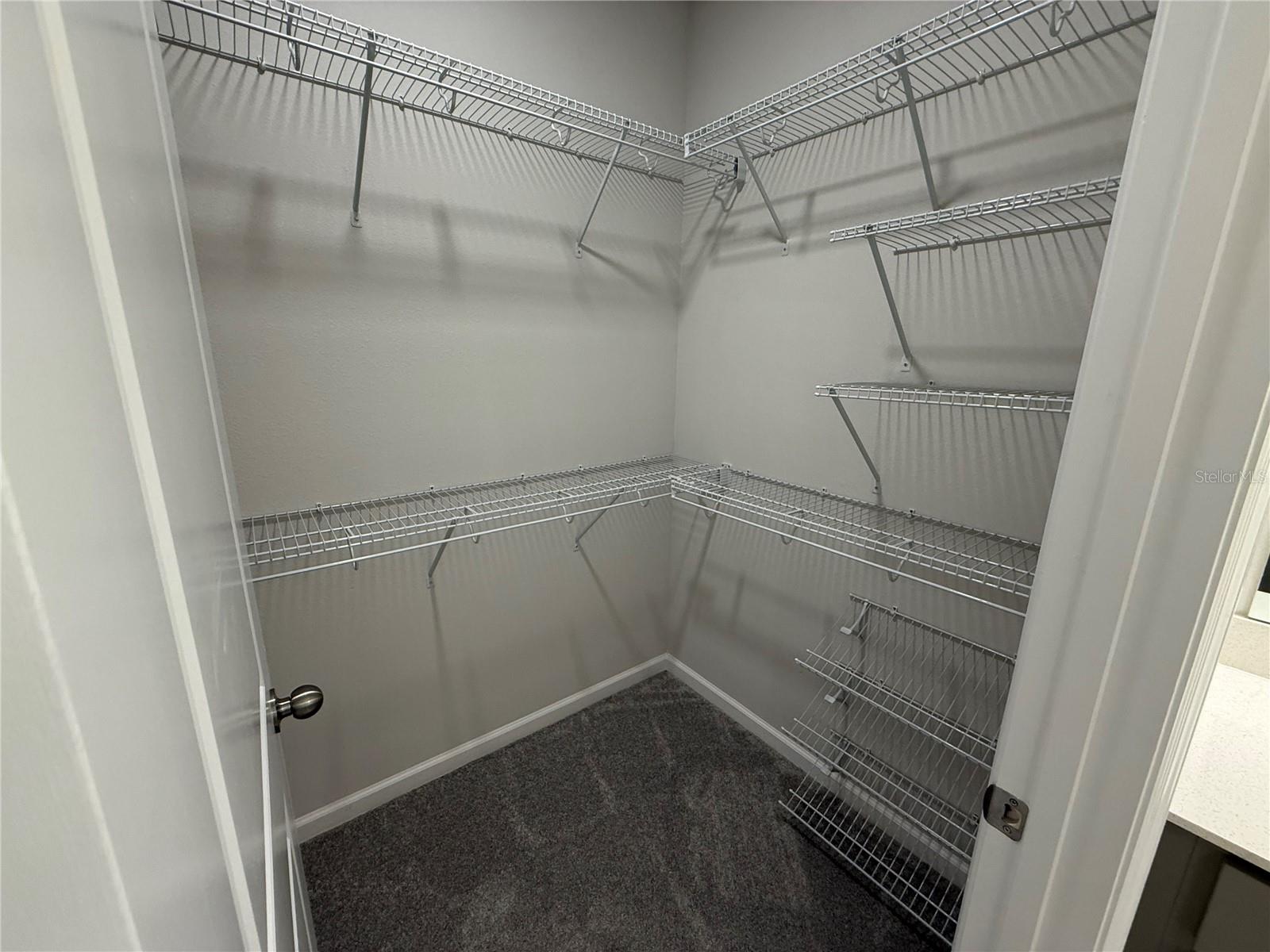 628 POTHOS ST, APOPKA, FL, 32703