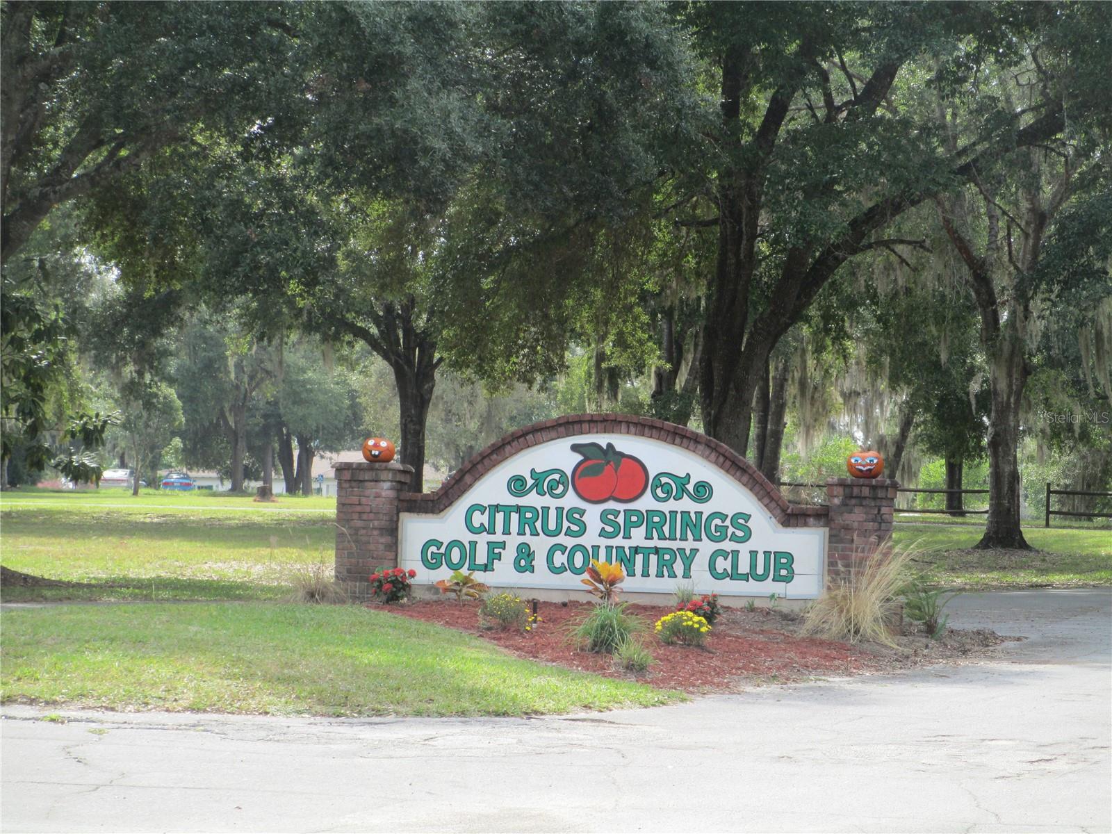 11145 N EASTER TER, CITRUS SPRINGS, FL, 34434