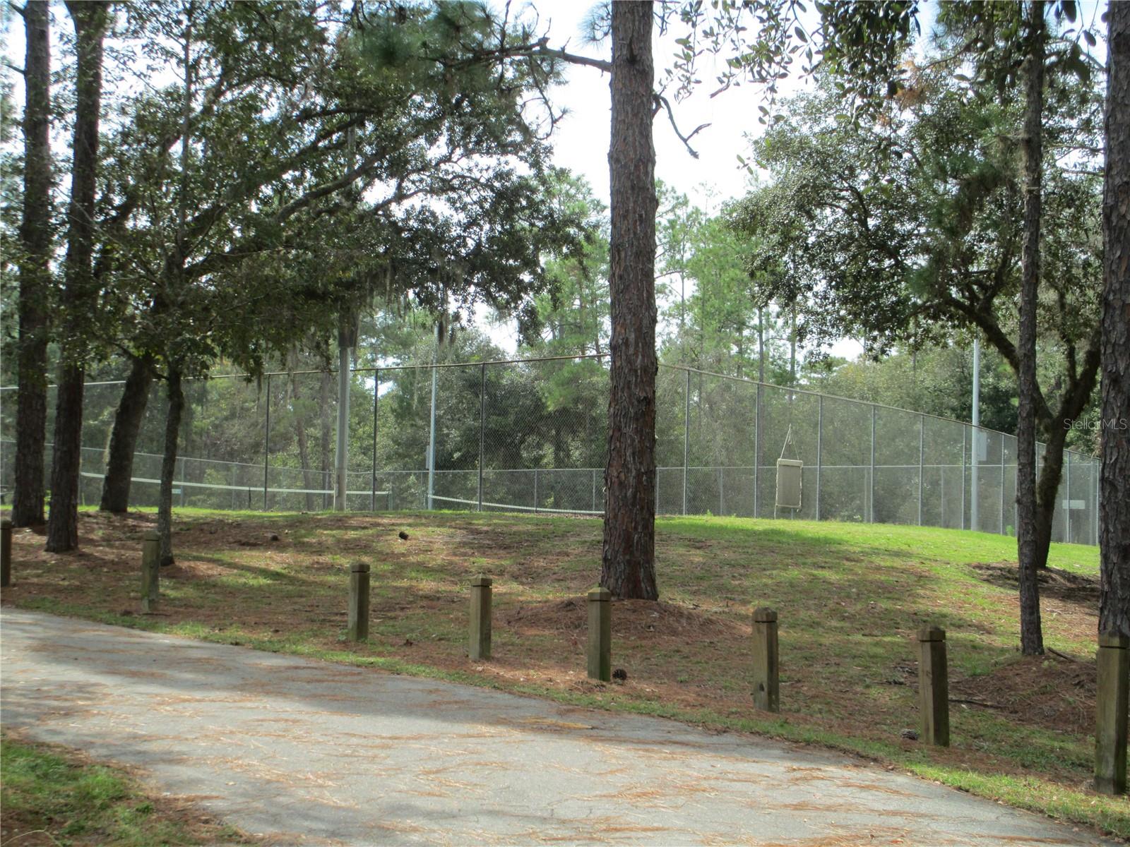 11145 N EASTER TER, CITRUS SPRINGS, FL, 34434