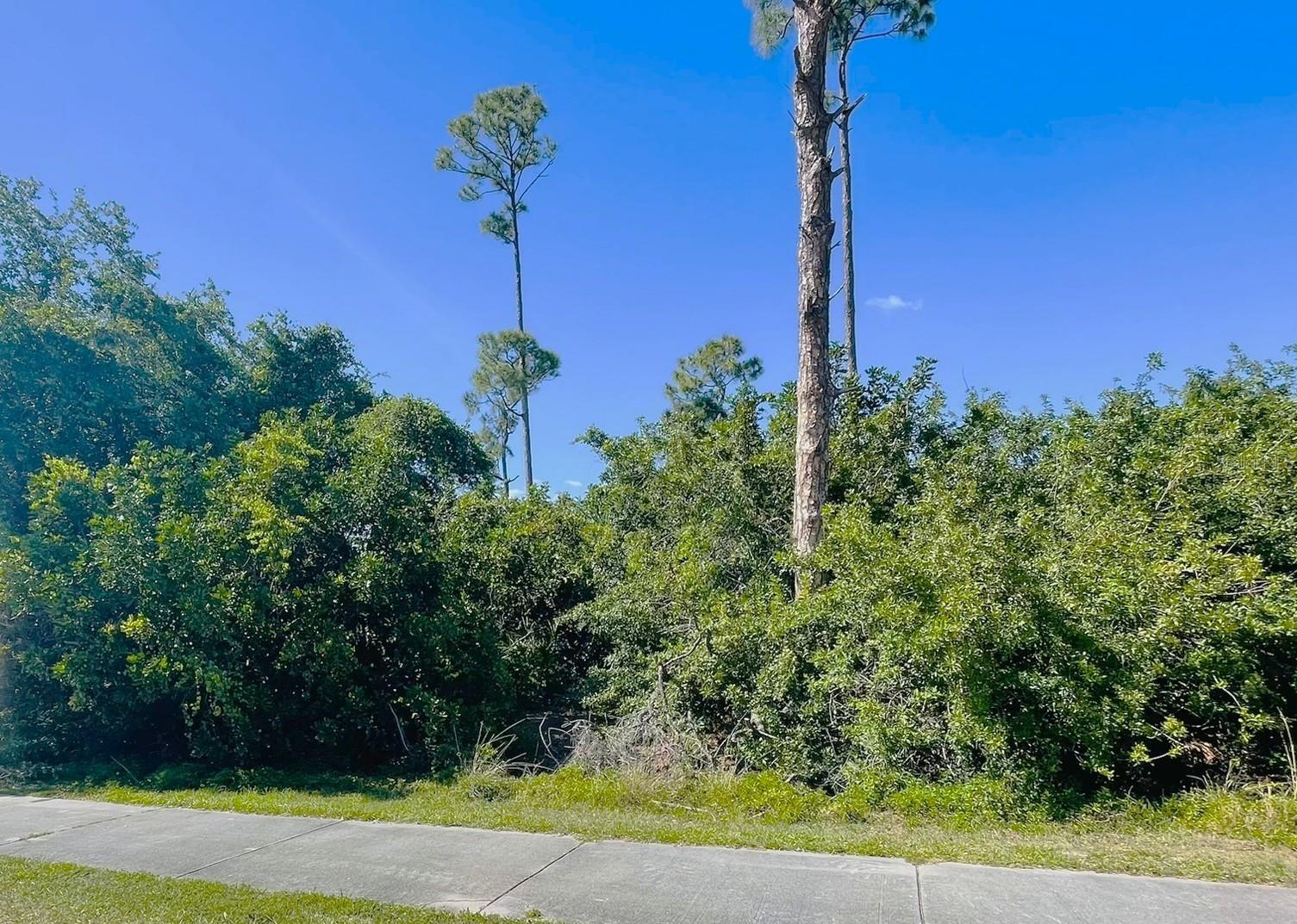 22234 ELMIRA BLVD, PORT CHARLOTTE, FL, 33952