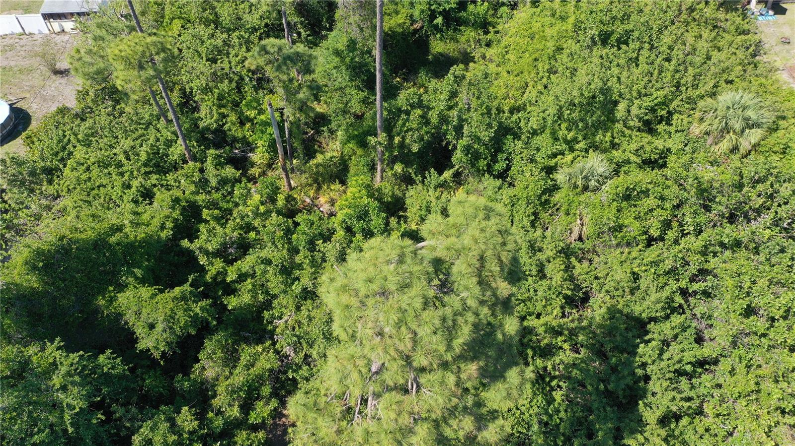 22234 ELMIRA BLVD, PORT CHARLOTTE, FL, 33952