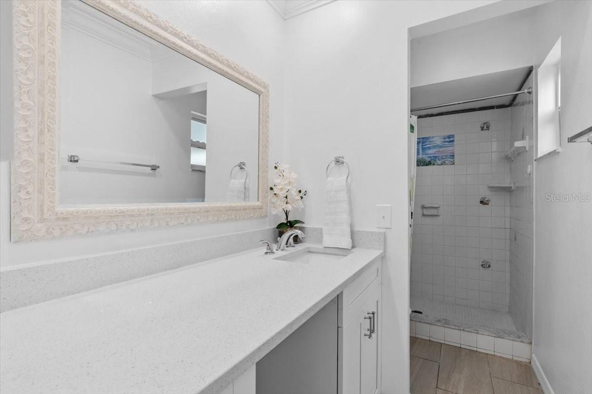 15118 BRUSHWOOD DR, TAMPA, FL, 33624