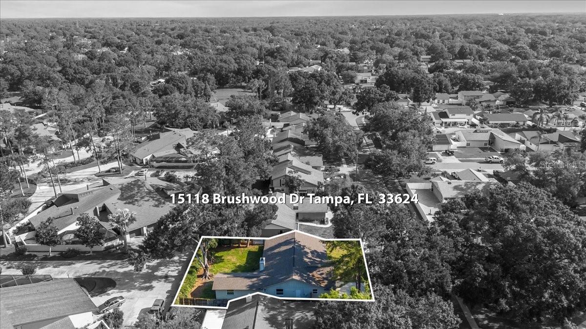 15118 BRUSHWOOD DR, TAMPA, FL, 33624