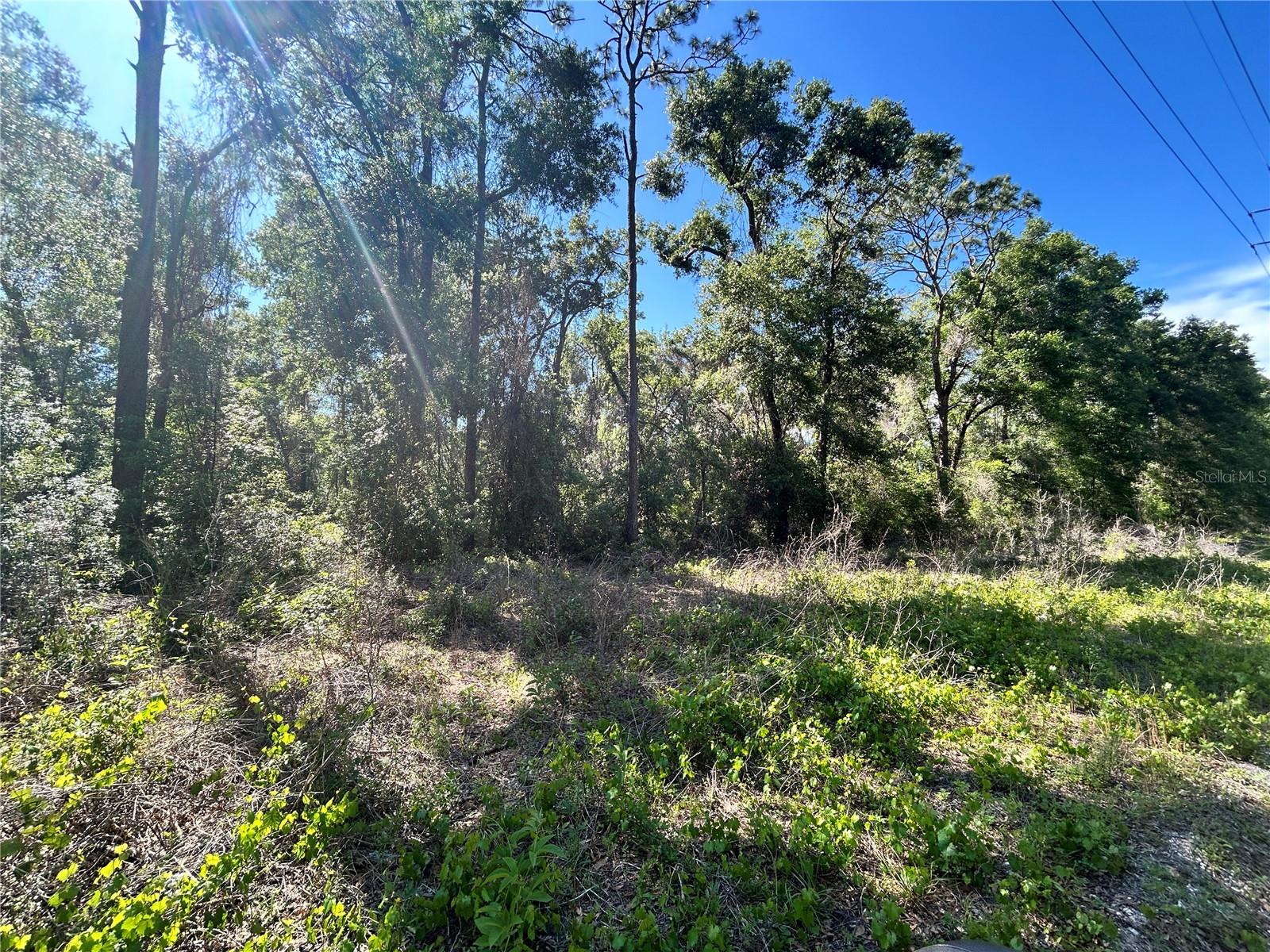 9319 S FLORIDA AVE, FLORAL CITY, FL, 34436