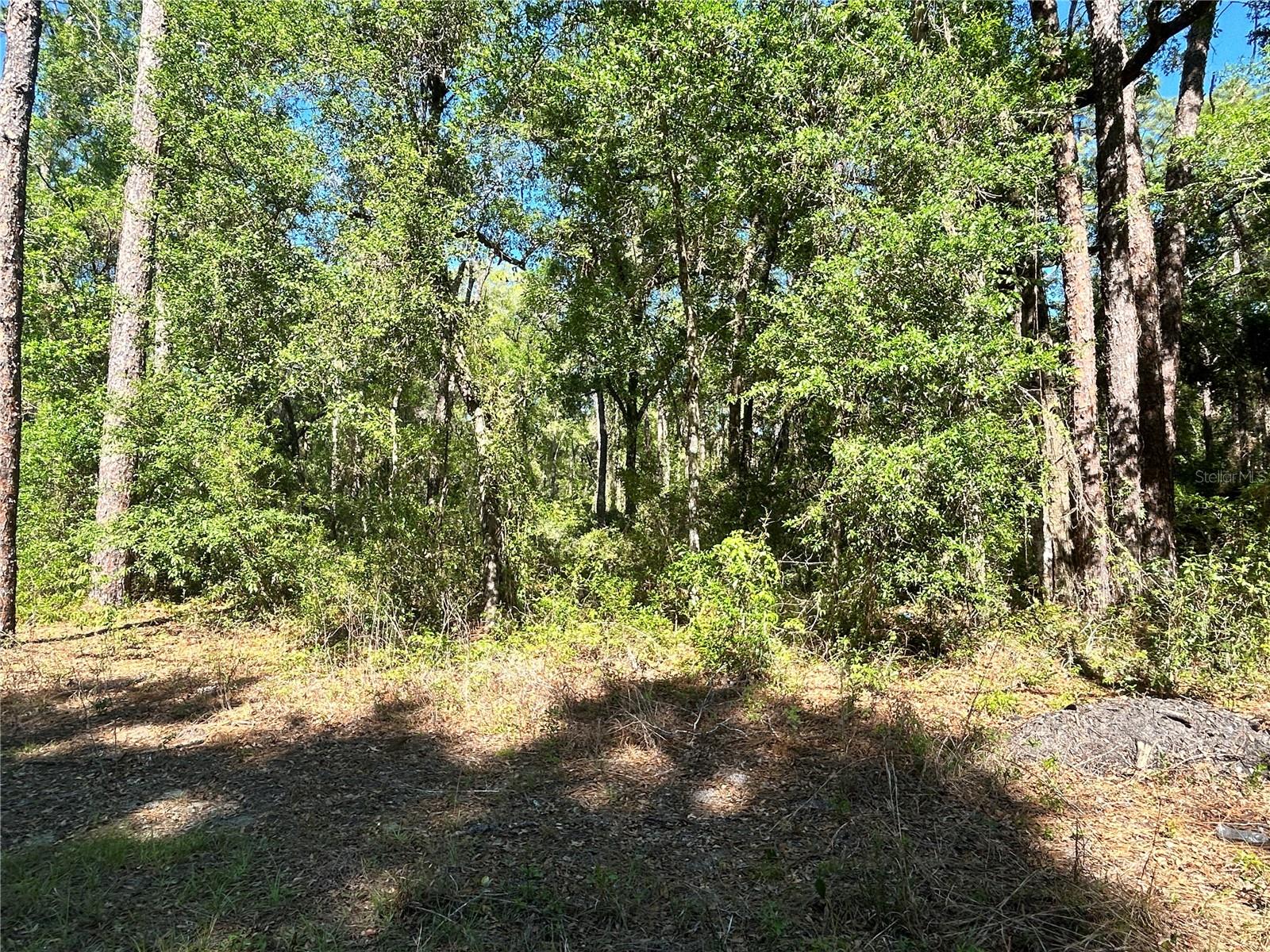 9319 S FLORIDA AVE, FLORAL CITY, FL, 34436