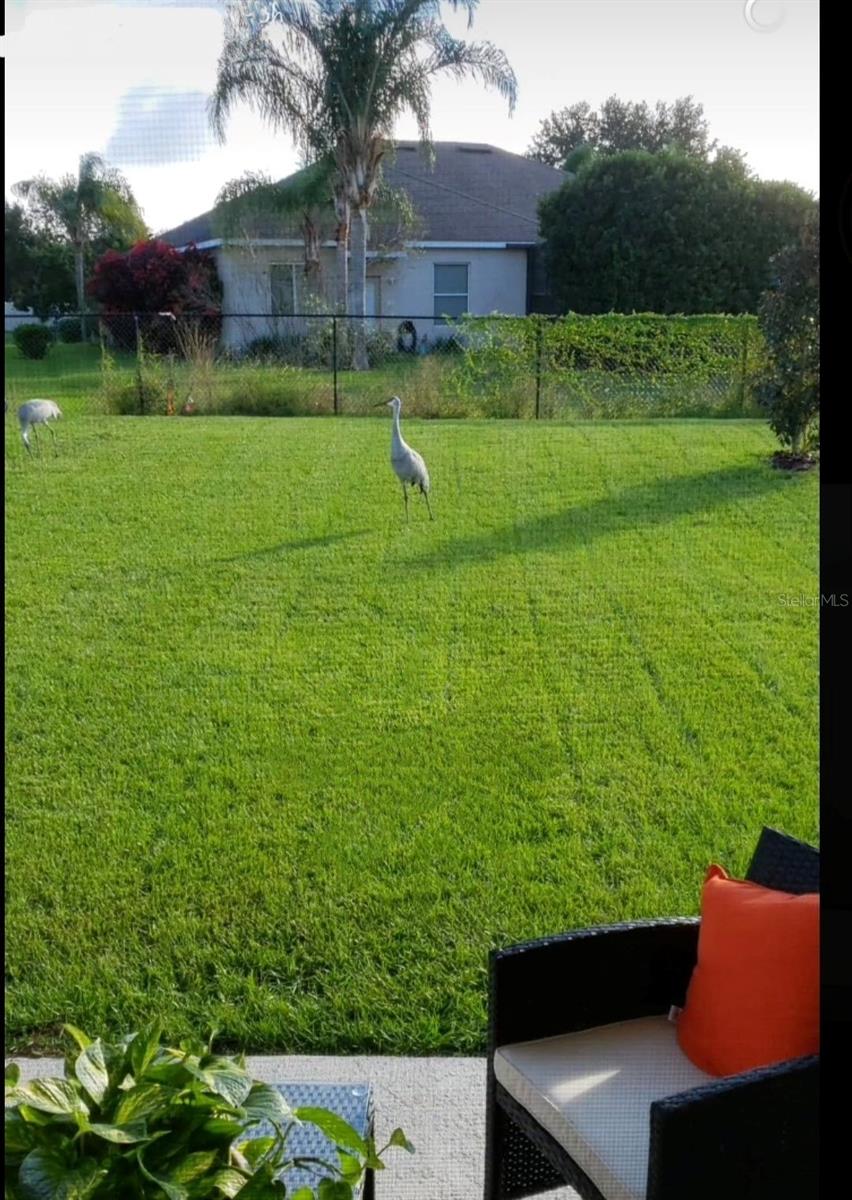 3240 COUNTRY WALK CLUB CIR, WINTER HAVEN, FL, 33881