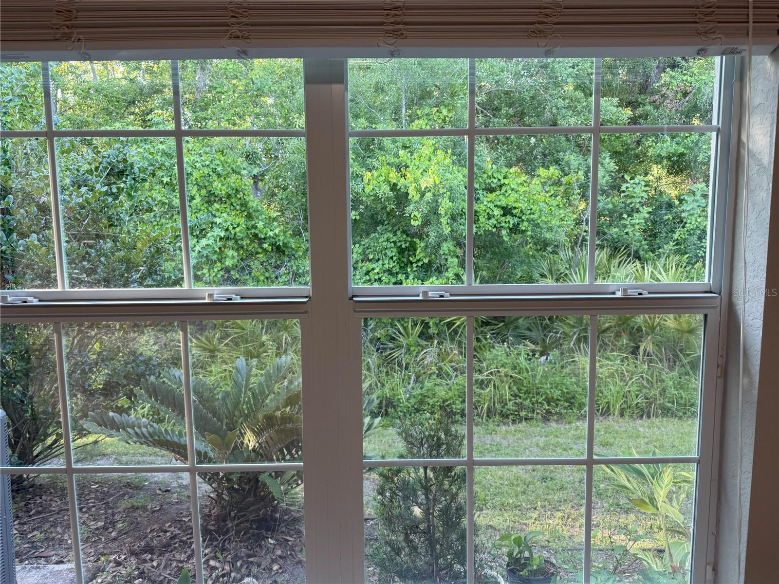 29823 GANGA WAY, WESLEY CHAPEL, FL, 33543