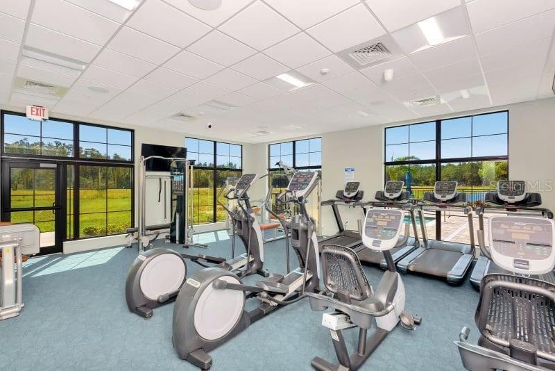 29823 GANGA WAY, WESLEY CHAPEL, FL, 33543