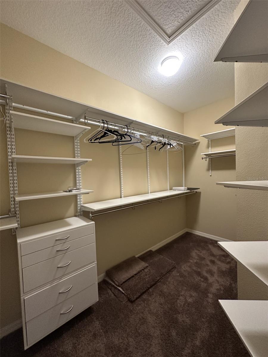 4235 ANGELICA LOOP, WESLEY CHAPEL, FL, 33543