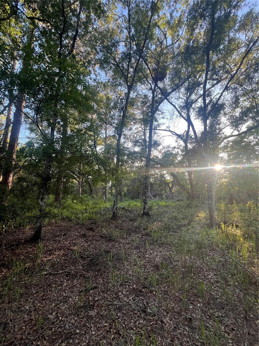 PINON DR, WEBSTER, FL, 33597