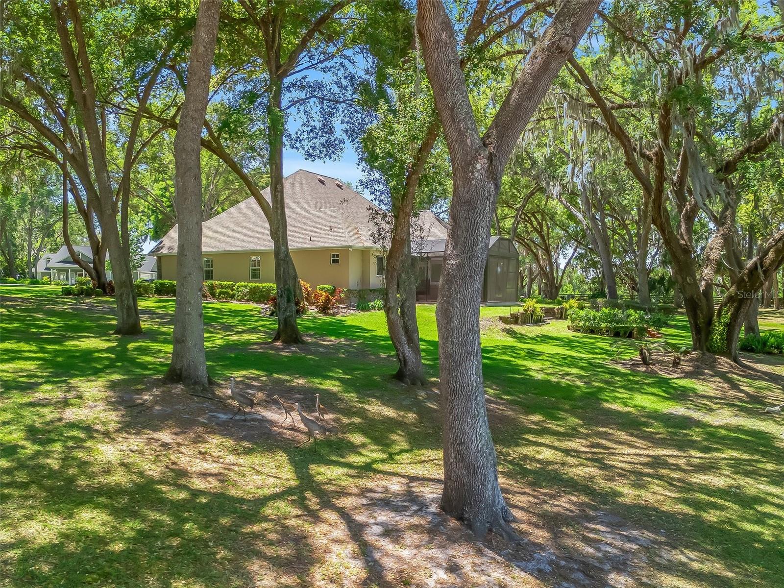 2010 OTTERS POND RD, FRUITLAND PARK, FL, 34731