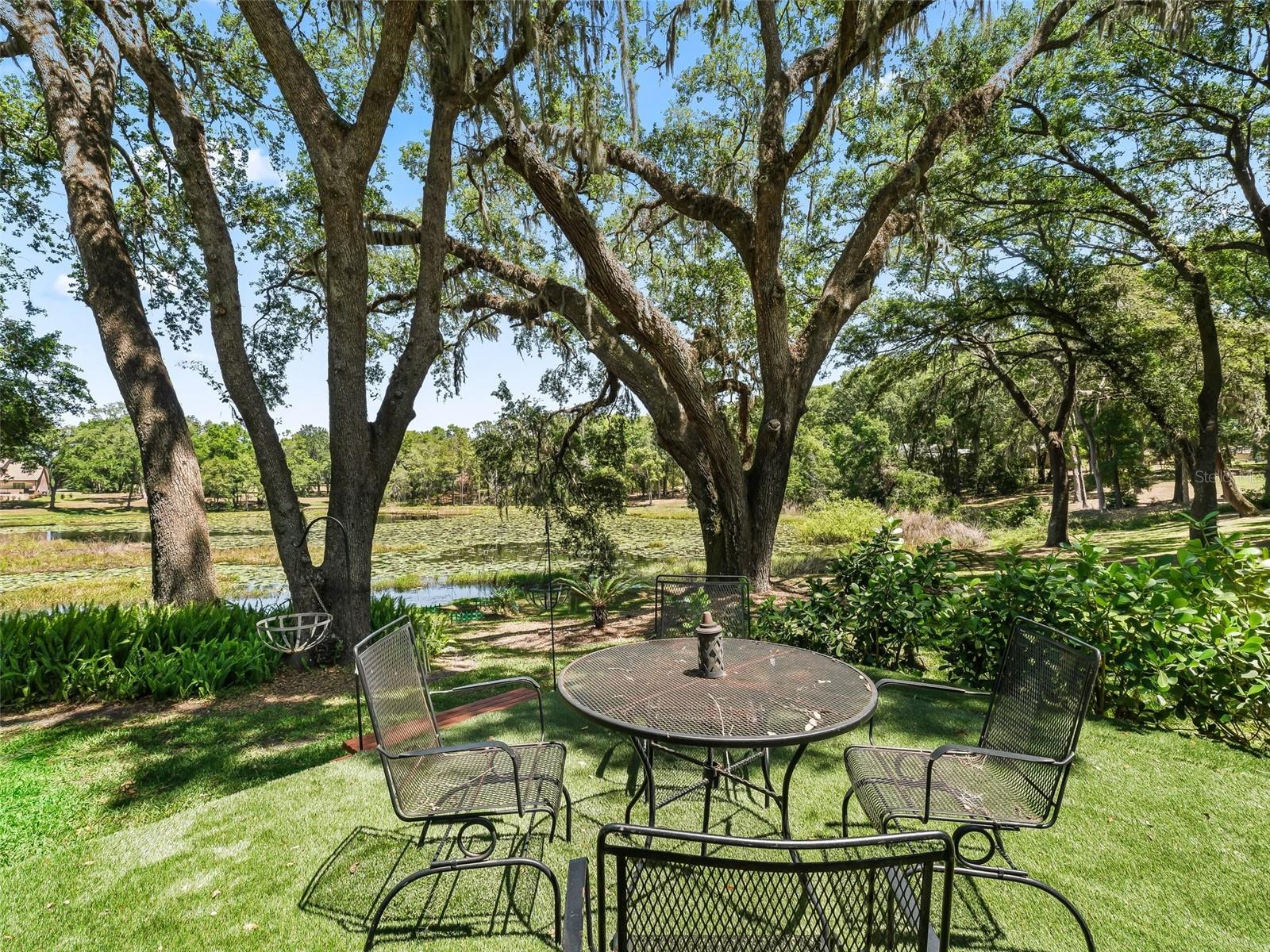 2010 OTTERS POND RD, FRUITLAND PARK, FL, 34731