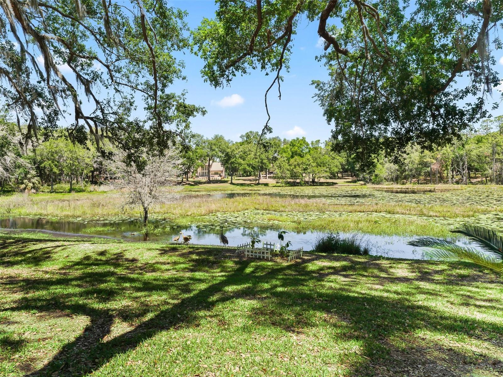 2010 OTTERS POND RD, FRUITLAND PARK, FL, 34731