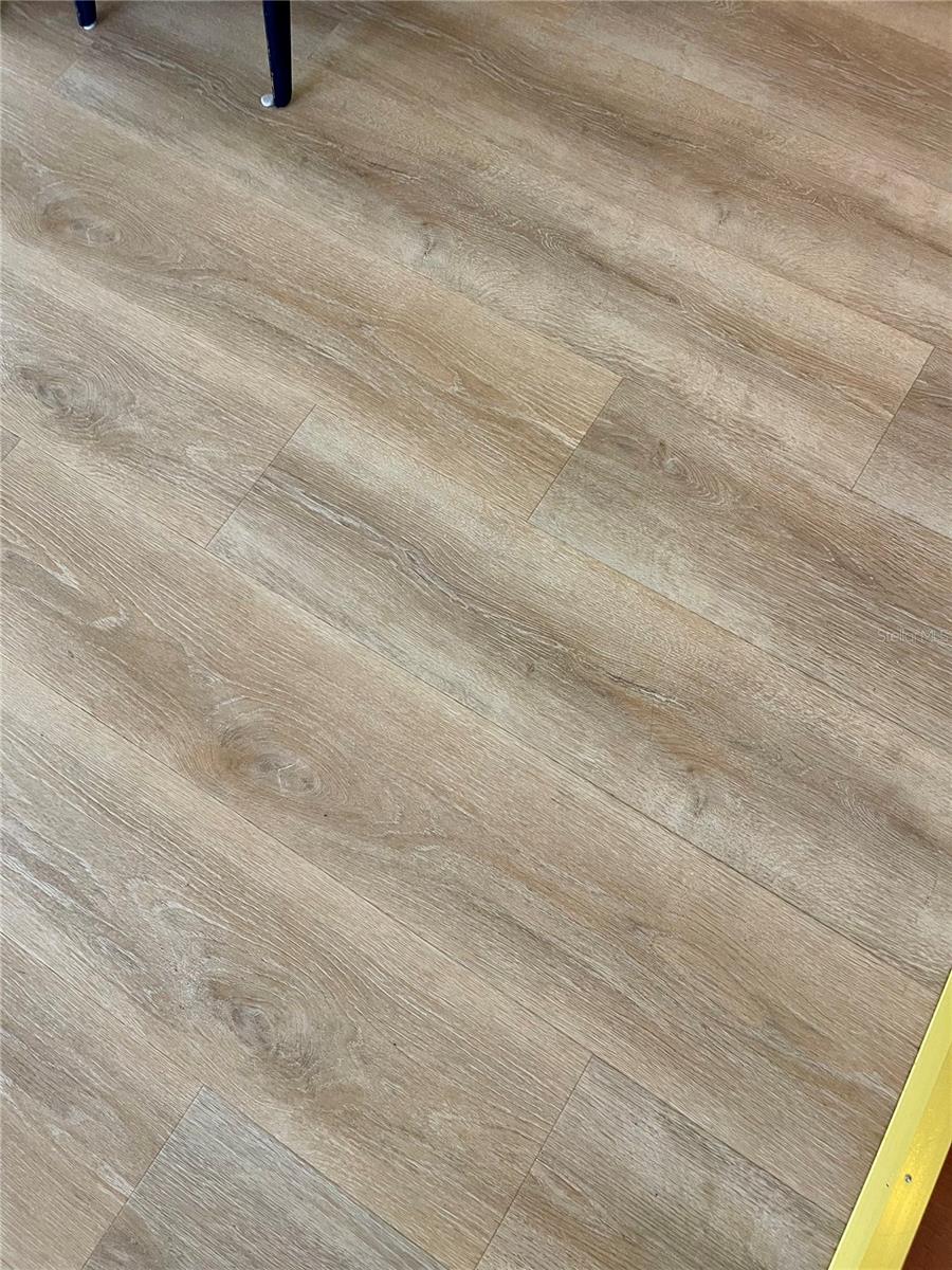 34461 CACTUS DR, PINELLAS PARK, FL, 33781