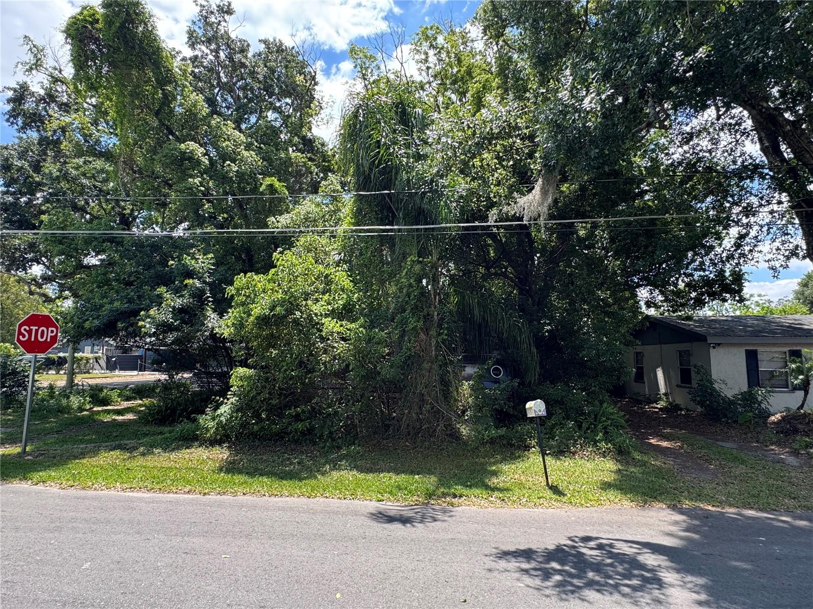 2520 RAEHN ST, ORLANDO, FL, 32806