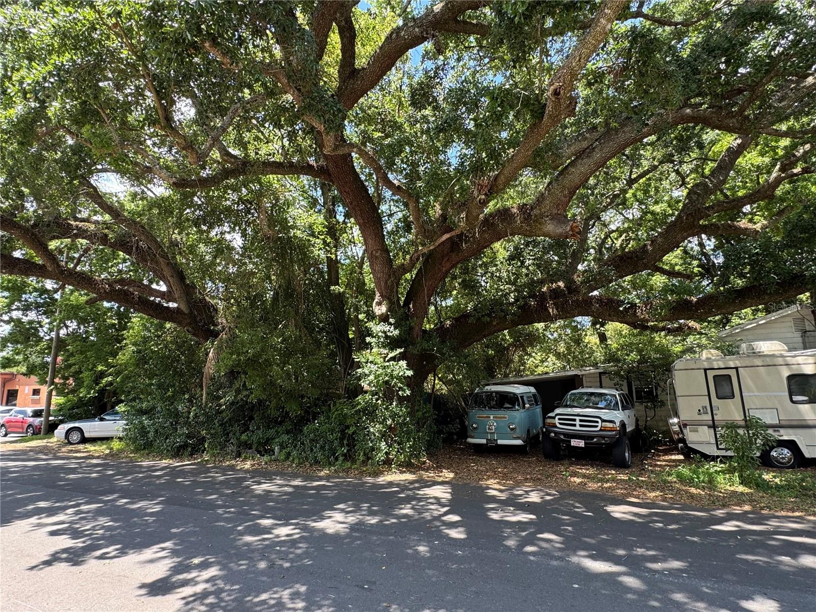 2520 RAEHN ST, ORLANDO, FL, 32806