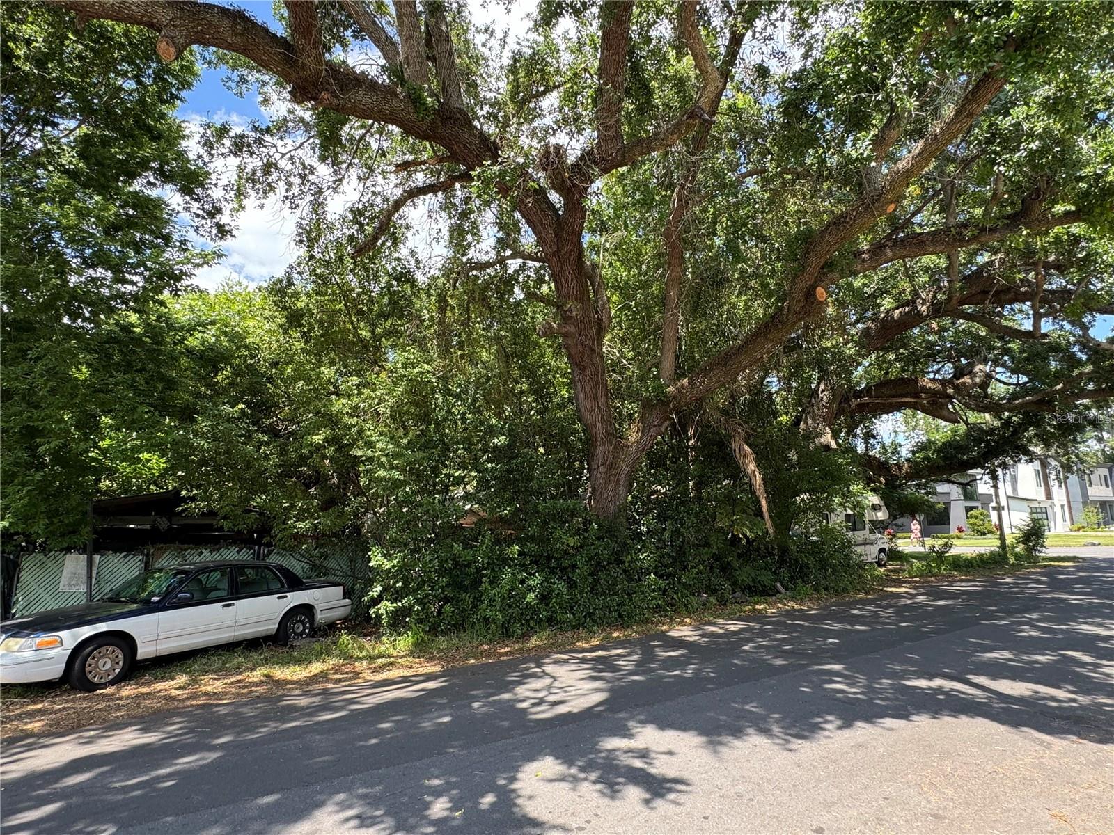 2520 RAEHN ST, ORLANDO, FL, 32806