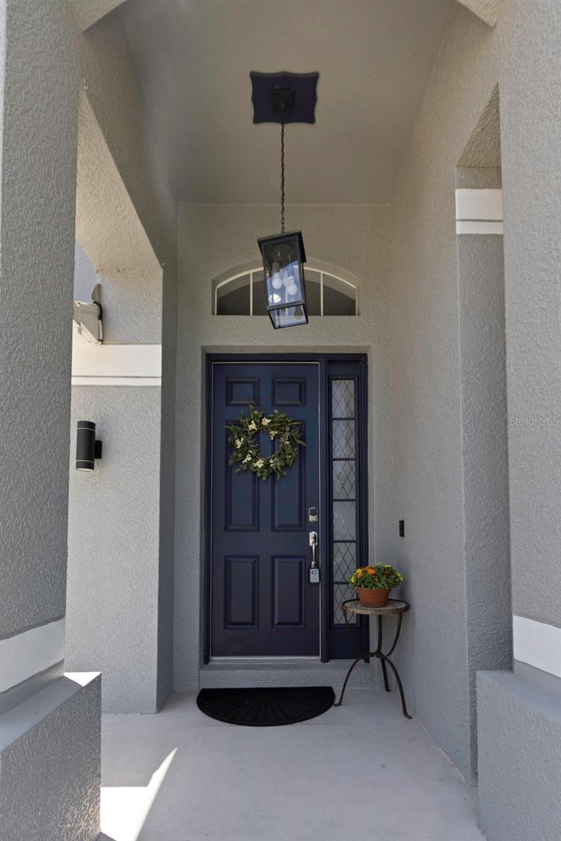 10007 COLDWATER LOOP, LAND O LAKES, FL, 34638