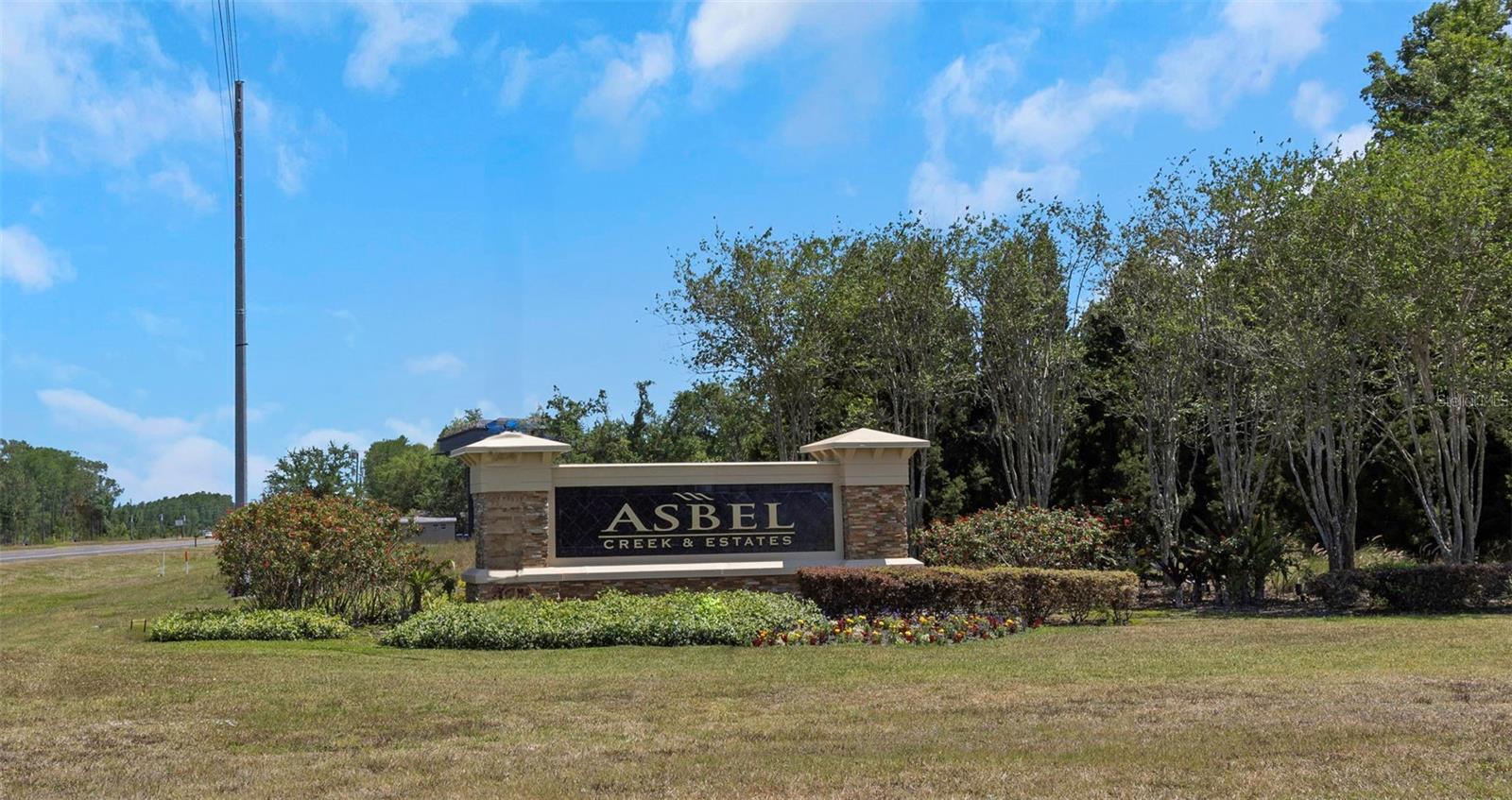 10007 COLDWATER LOOP, LAND O LAKES, FL, 34638