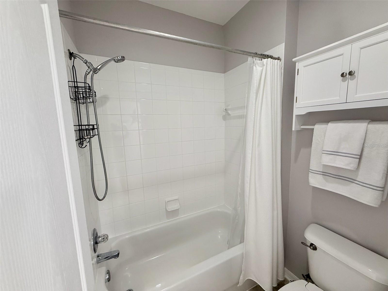 10007 COLDWATER LOOP, LAND O LAKES, FL, 34638