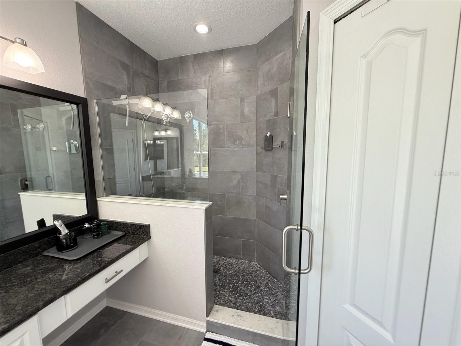 10007 COLDWATER LOOP, LAND O LAKES, FL, 34638