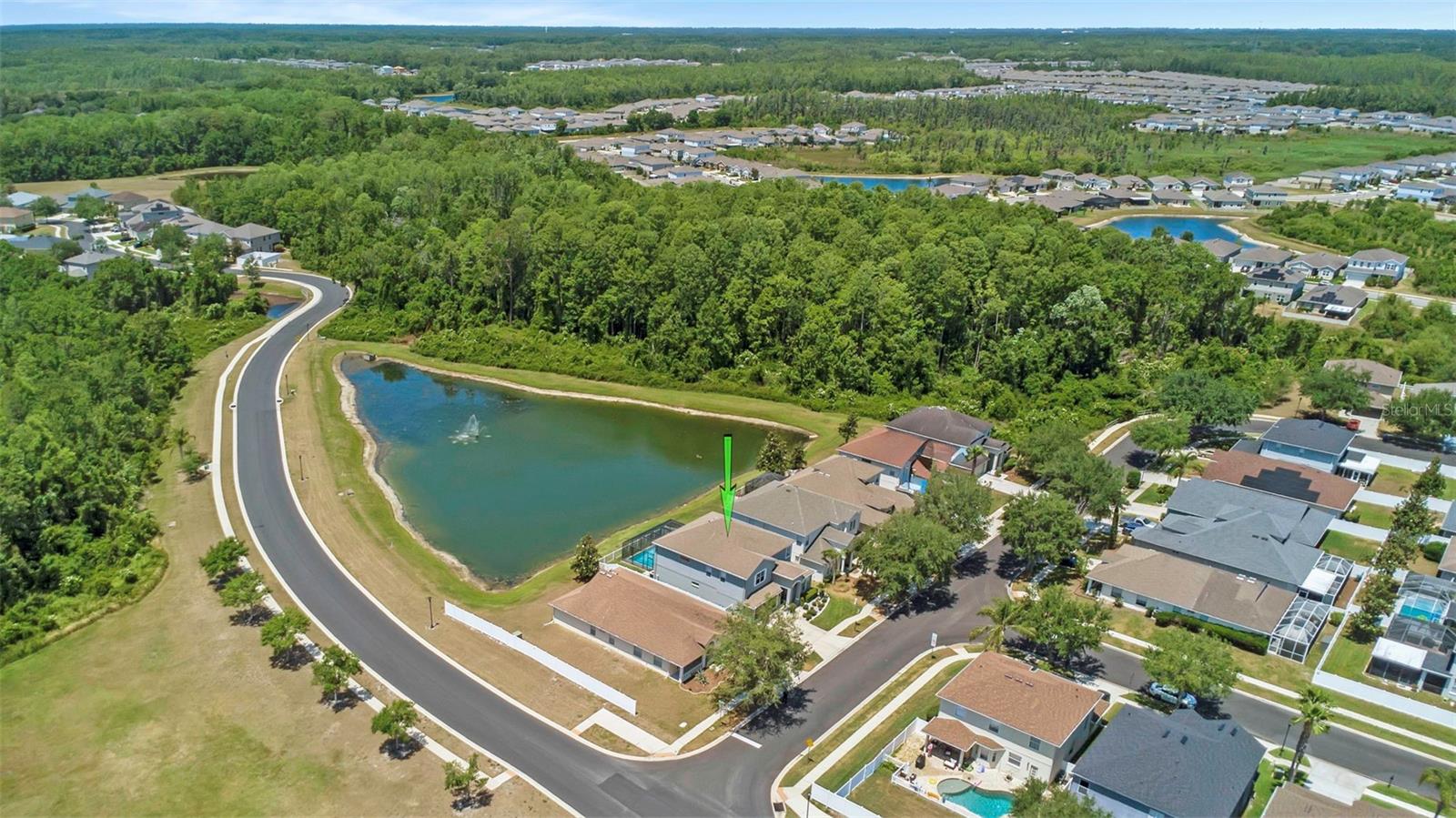 10007 COLDWATER LOOP, LAND O LAKES, FL, 34638