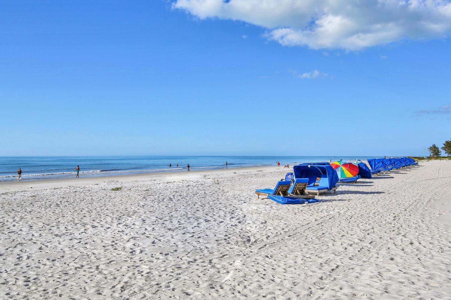 19440 GULF BLVD #306, INDIAN SHORES, FL, 33785