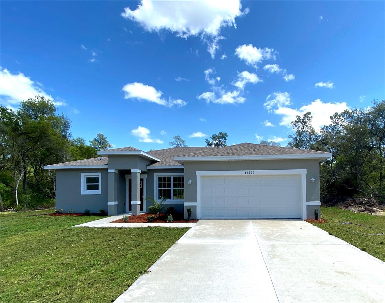 16253 SW 29TH COURT RD, OCALA, FL, 34473