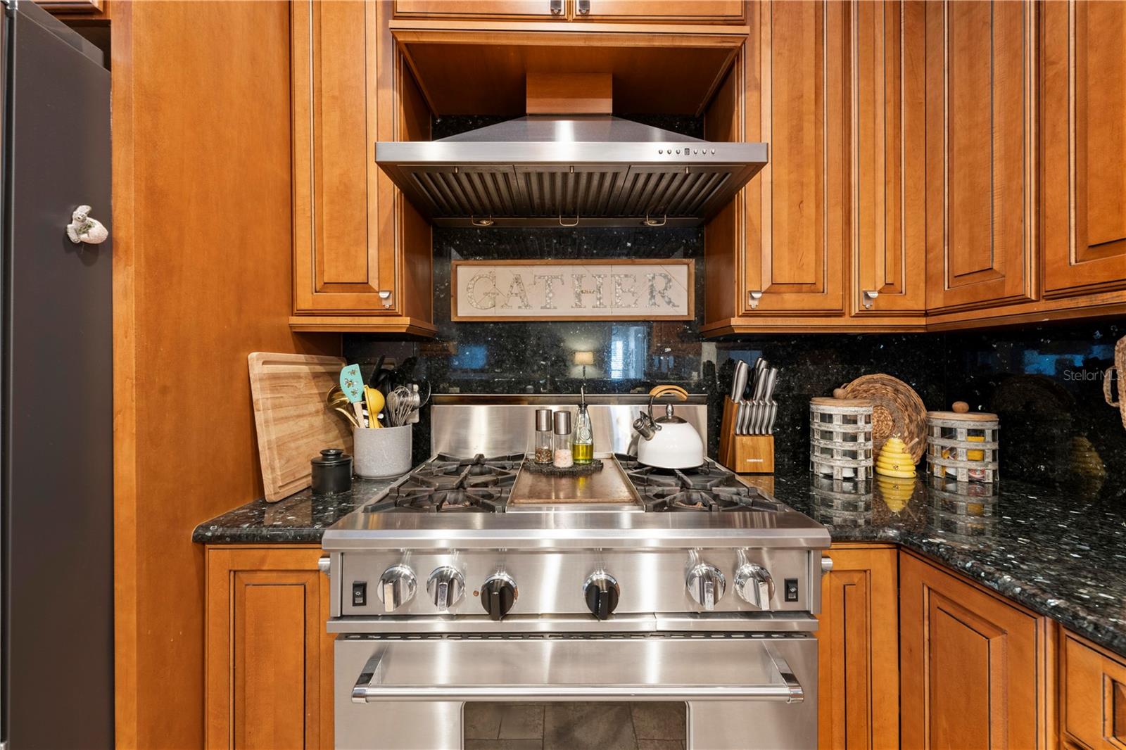 18836 GREEN PARK RD, HUDSON, FL, 34667