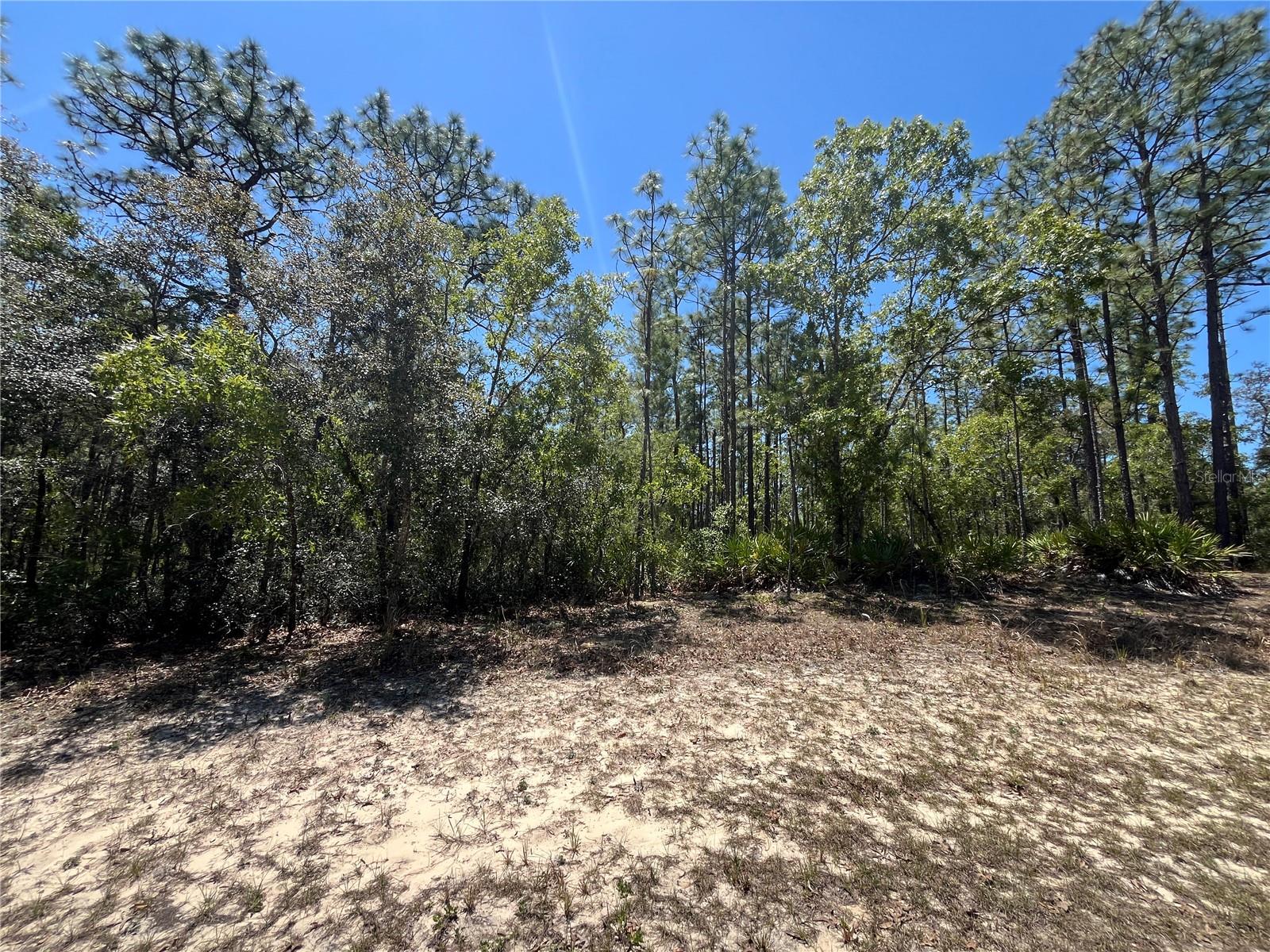 5354 N TEE PEE DR, BEVERLY HILLS, FL, 34465