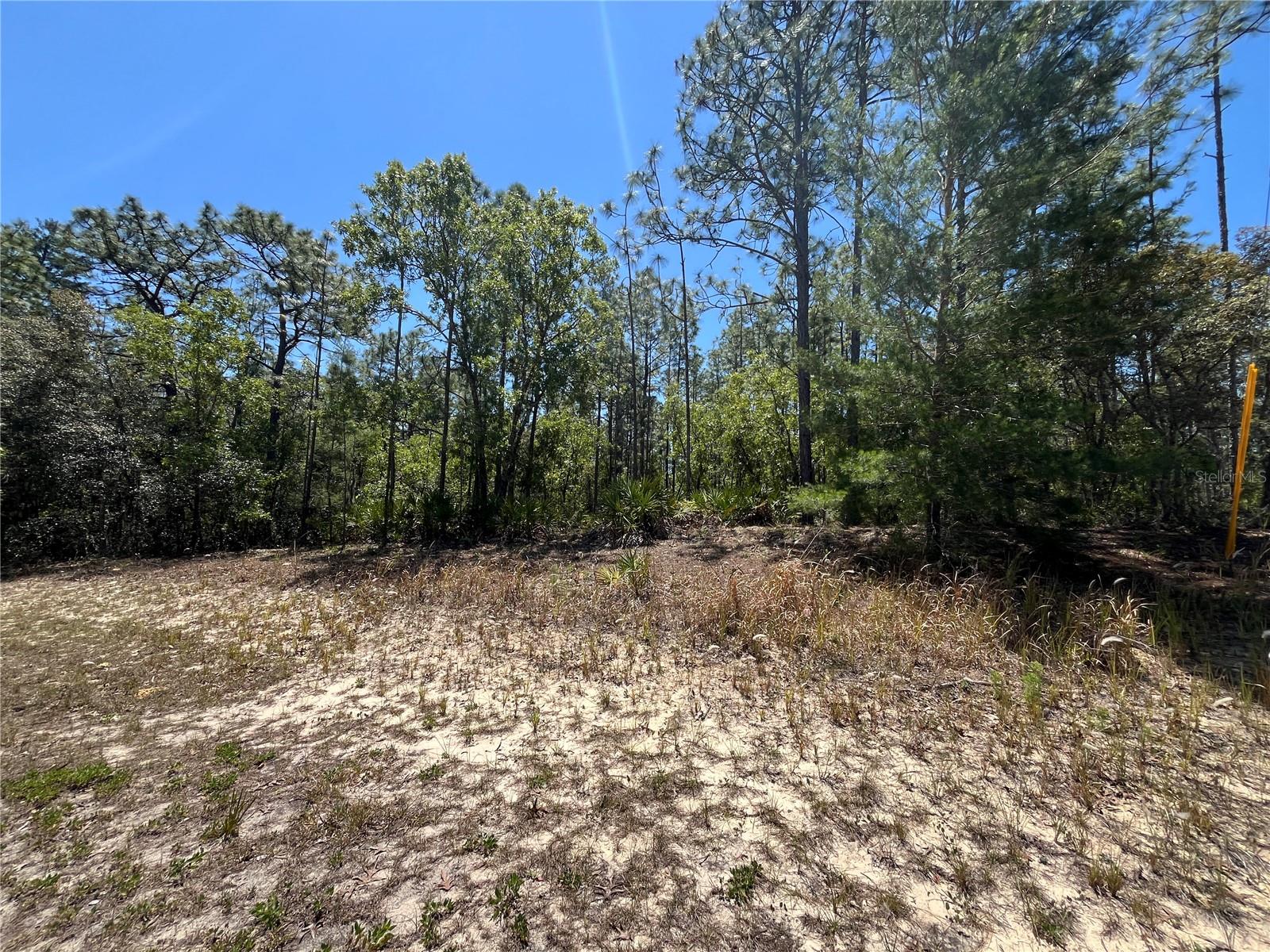 5354 N TEE PEE DR, BEVERLY HILLS, FL, 34465