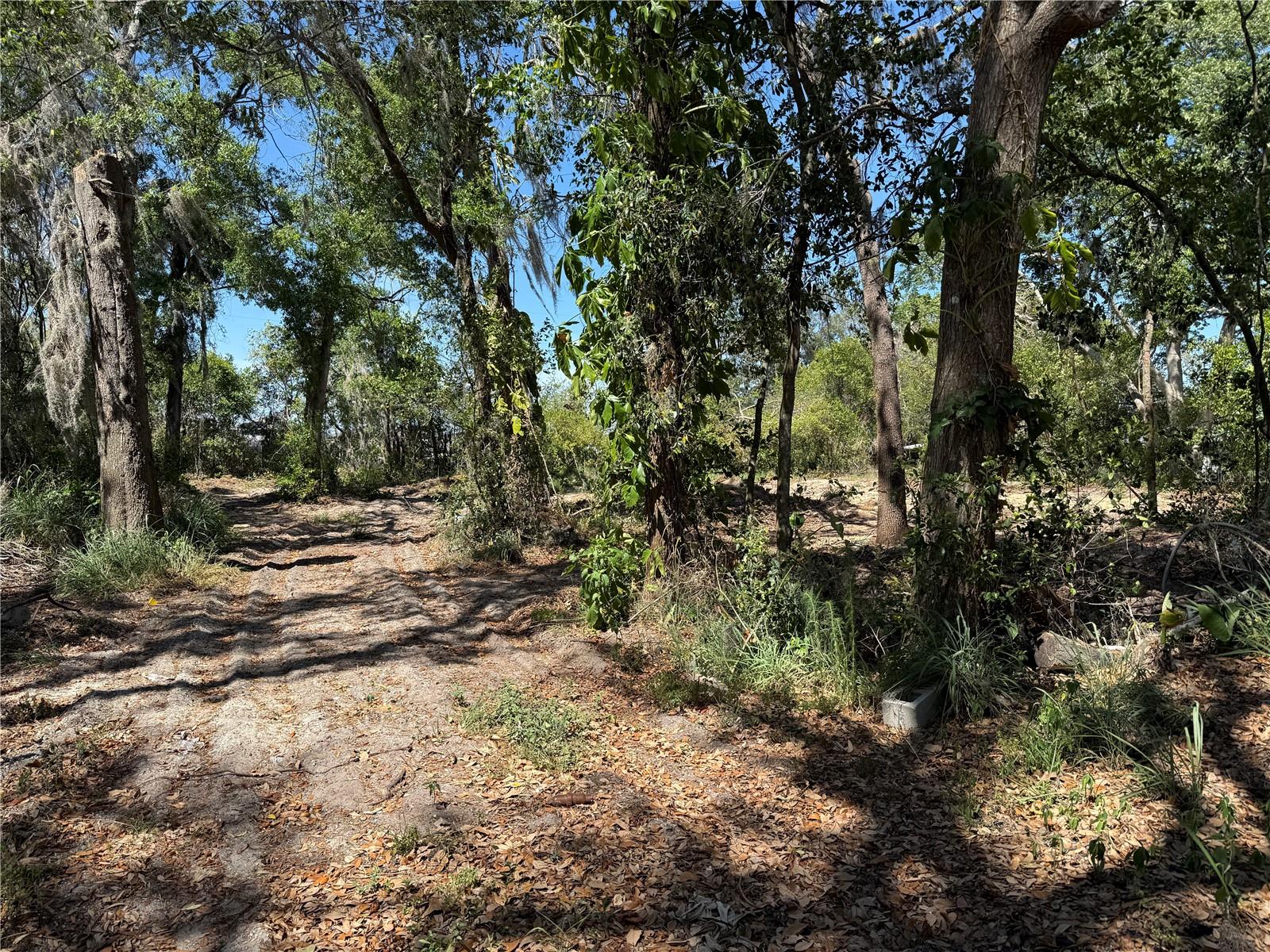 7TH AVE, HOWEY IN THE HILLS, FL, 34737