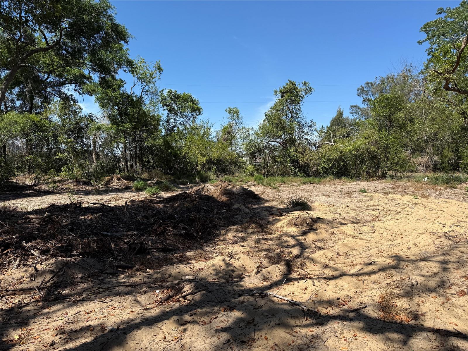 7TH AVE, HOWEY IN THE HILLS, FL, 34737