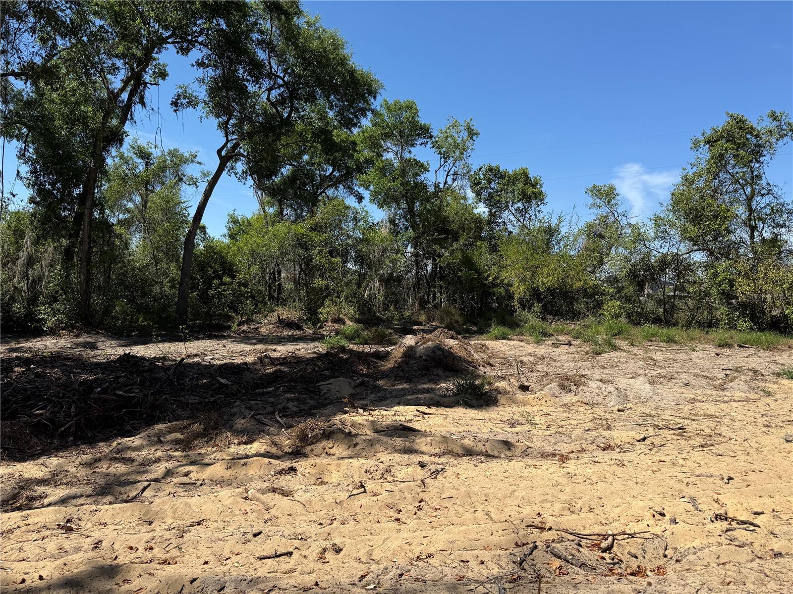 7TH AVE, HOWEY IN THE HILLS, FL, 34737