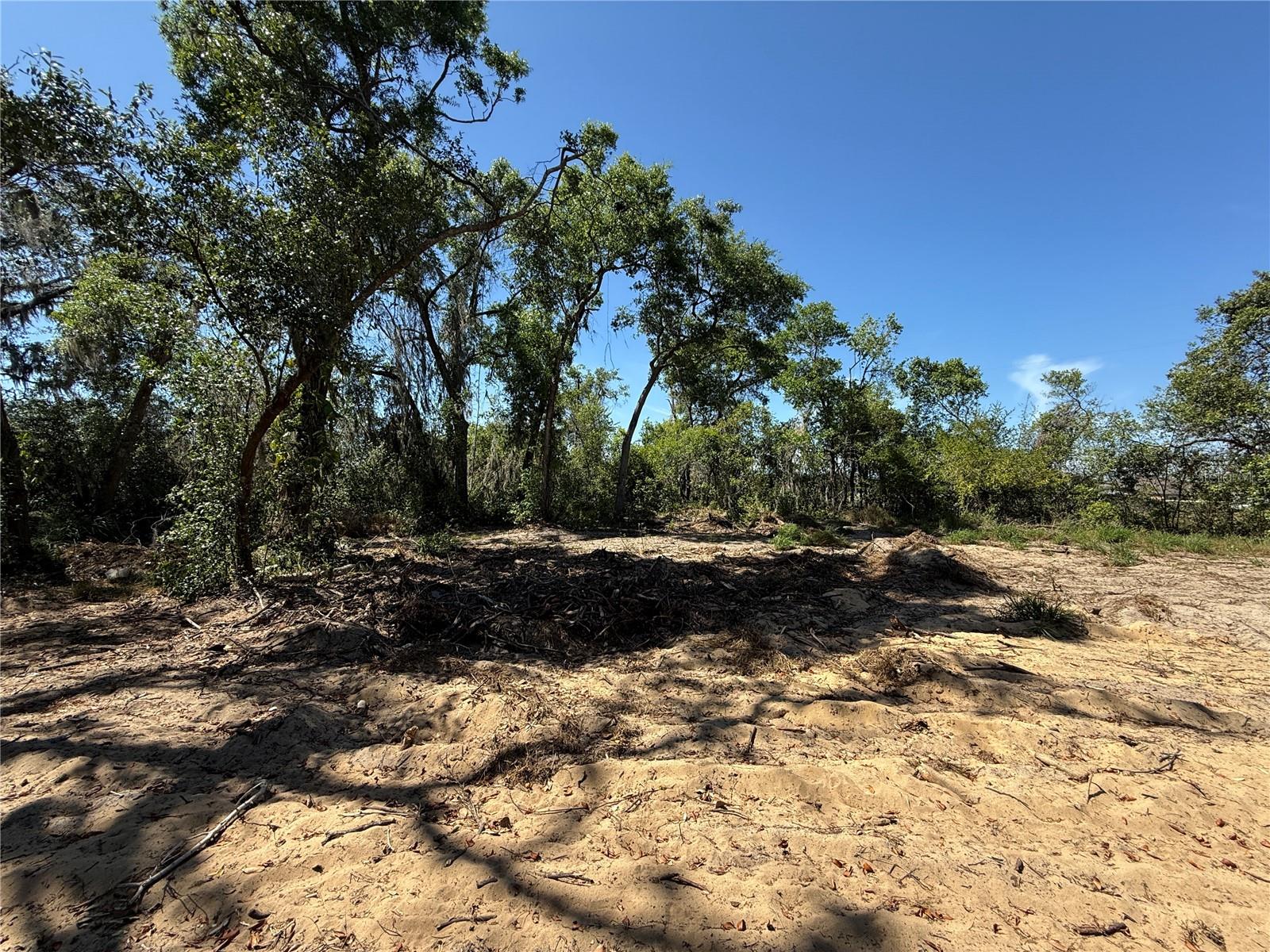 7TH AVE, HOWEY IN THE HILLS, FL, 34737