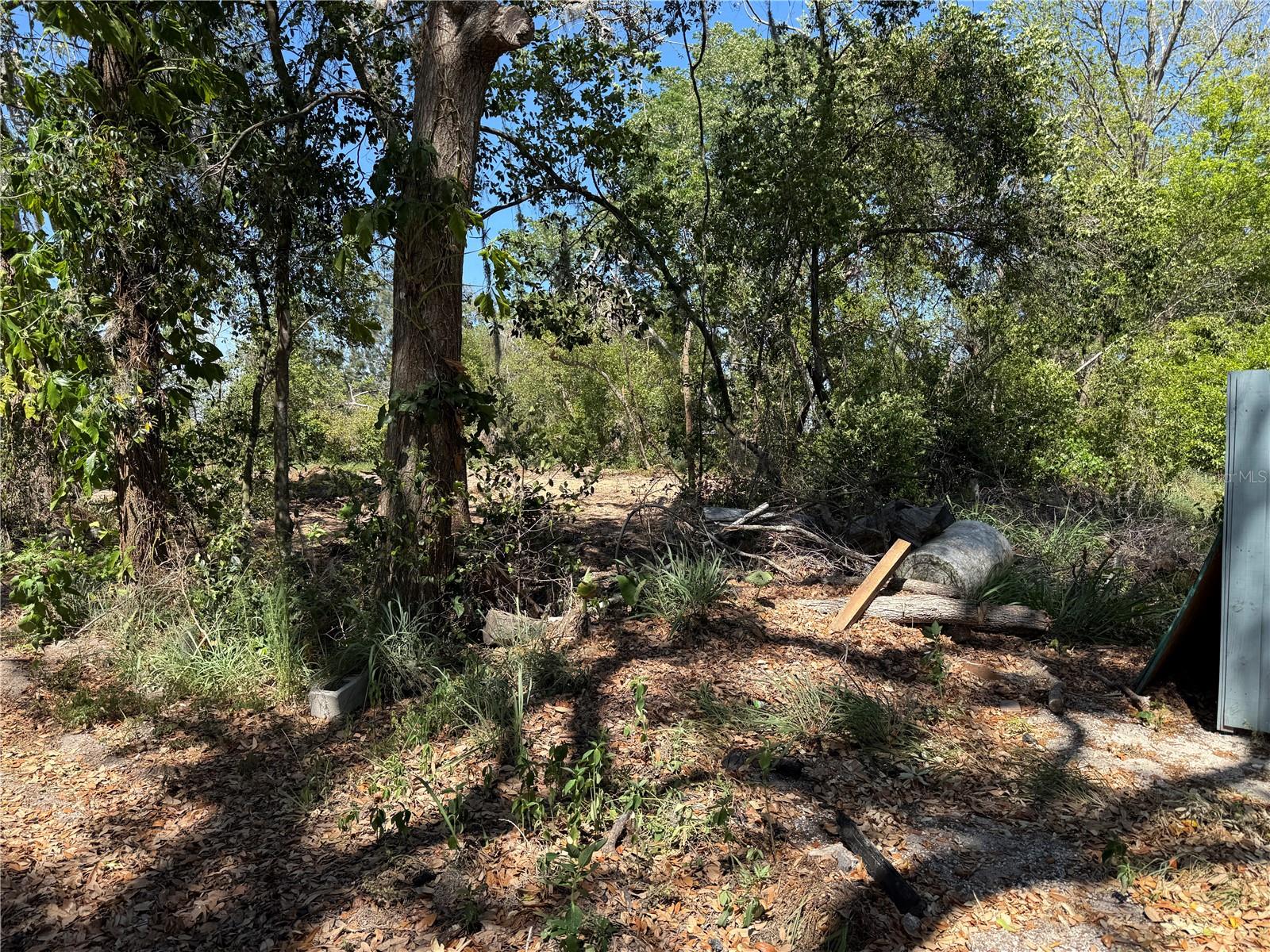 7TH AVE, HOWEY IN THE HILLS, FL, 34737