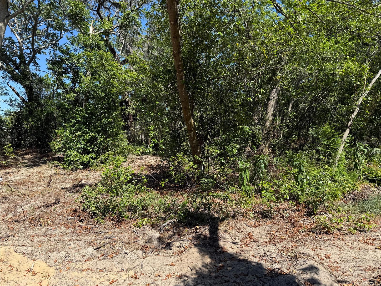 7TH AVE, HOWEY IN THE HILLS, FL, 34737