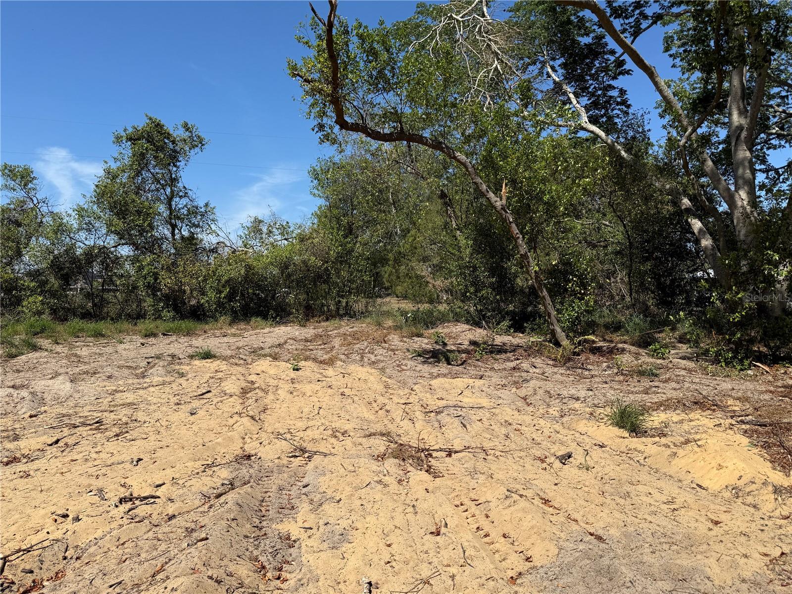 7TH AVE, HOWEY IN THE HILLS, FL, 34737