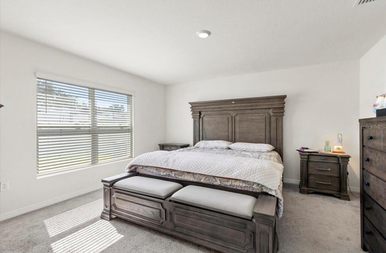 12168 LILY MAGNOLIA LN, RIVERVIEW, FL, 33569