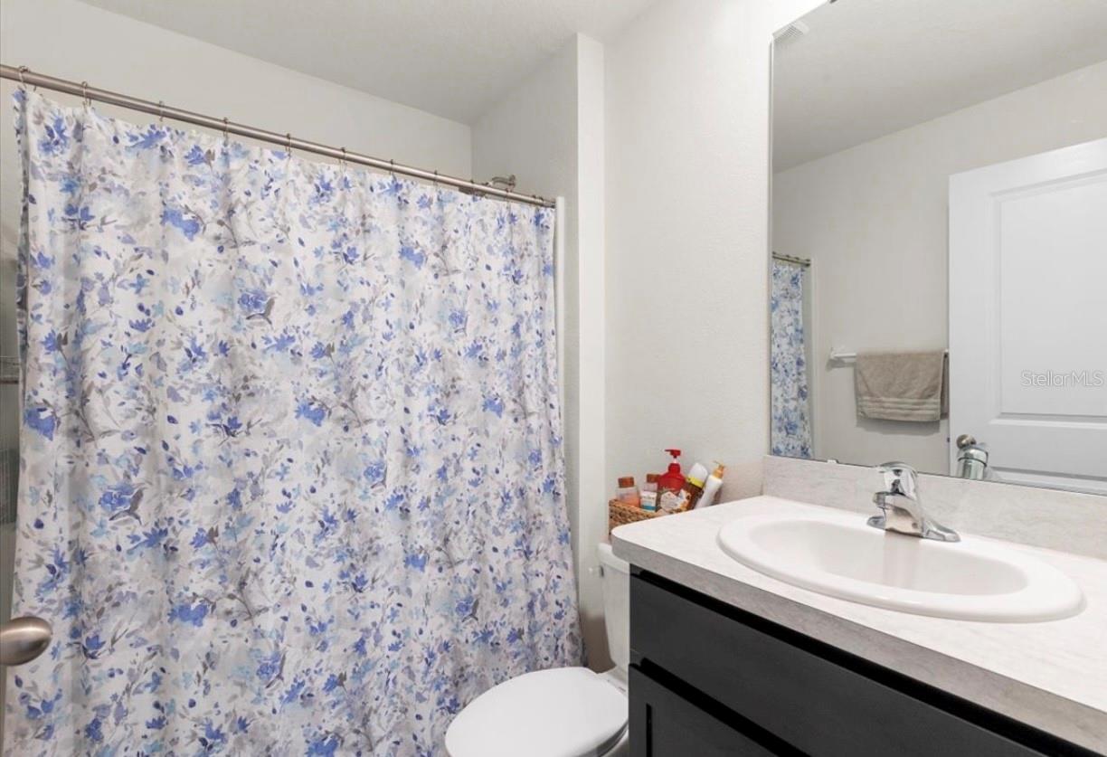 12168 LILY MAGNOLIA LN, RIVERVIEW, FL, 33569