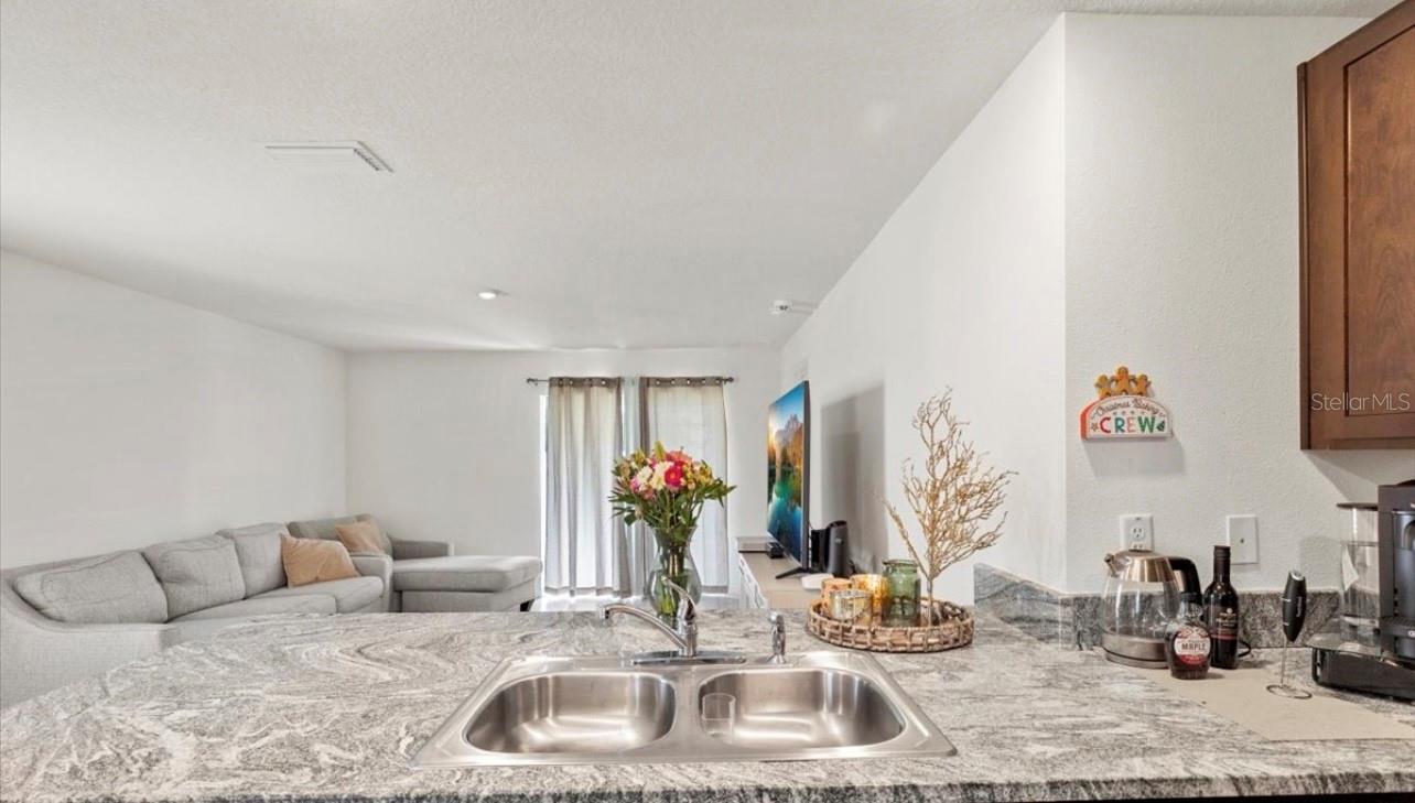 12168 LILY MAGNOLIA LN, RIVERVIEW, FL, 33569