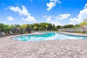 12168 LILY MAGNOLIA LN, RIVERVIEW, FL, 33569