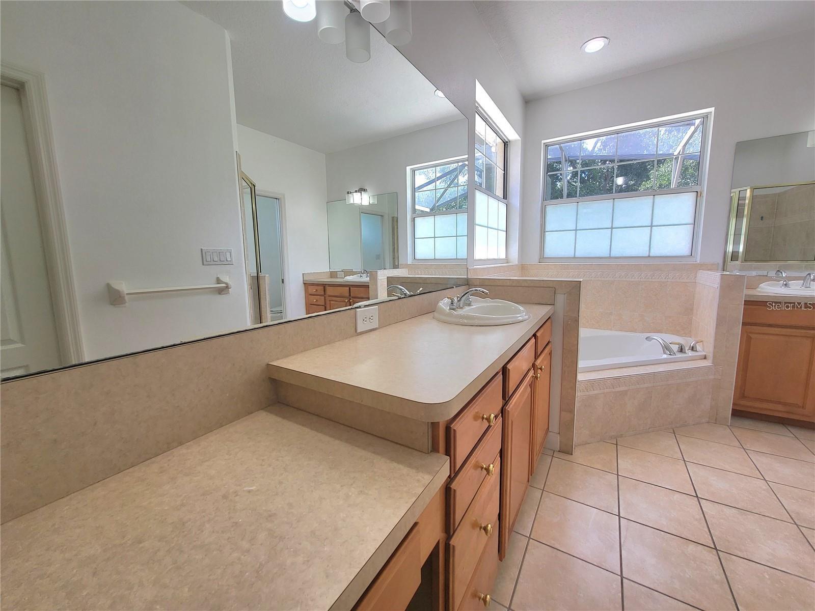 1072 CEASARS CT, MOUNT DORA, FL, 32757