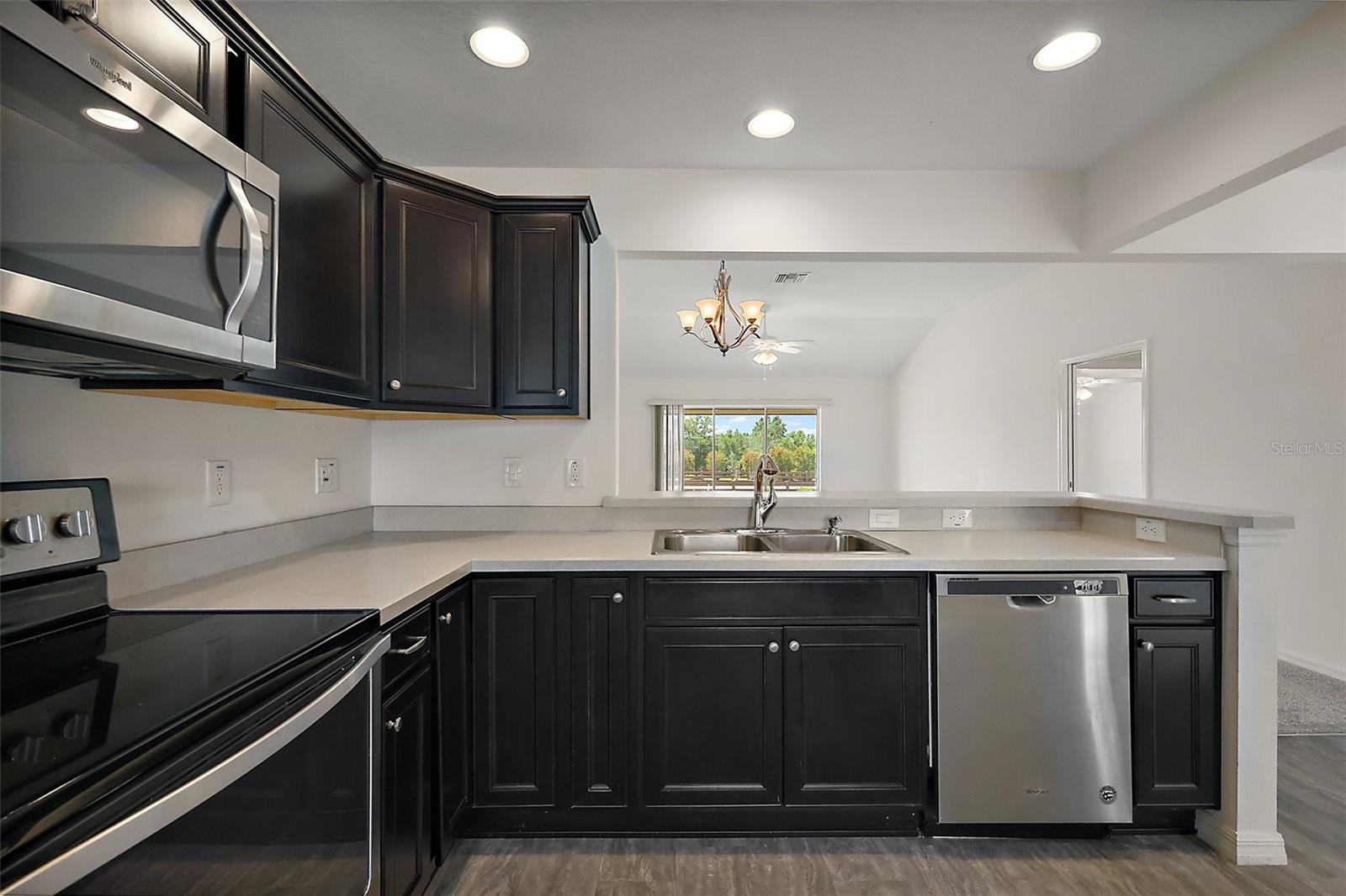 3305 DZURO DR, OXFORD, FL, 34484