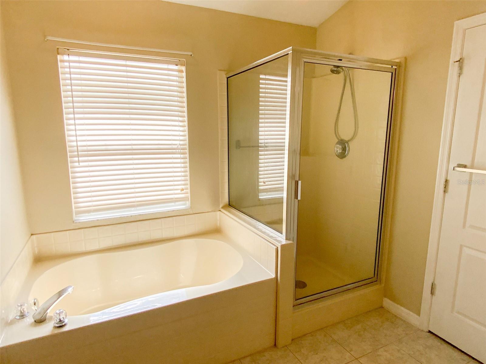 2838 BILLINGHAM DR, LAND O LAKES, FL, 34639