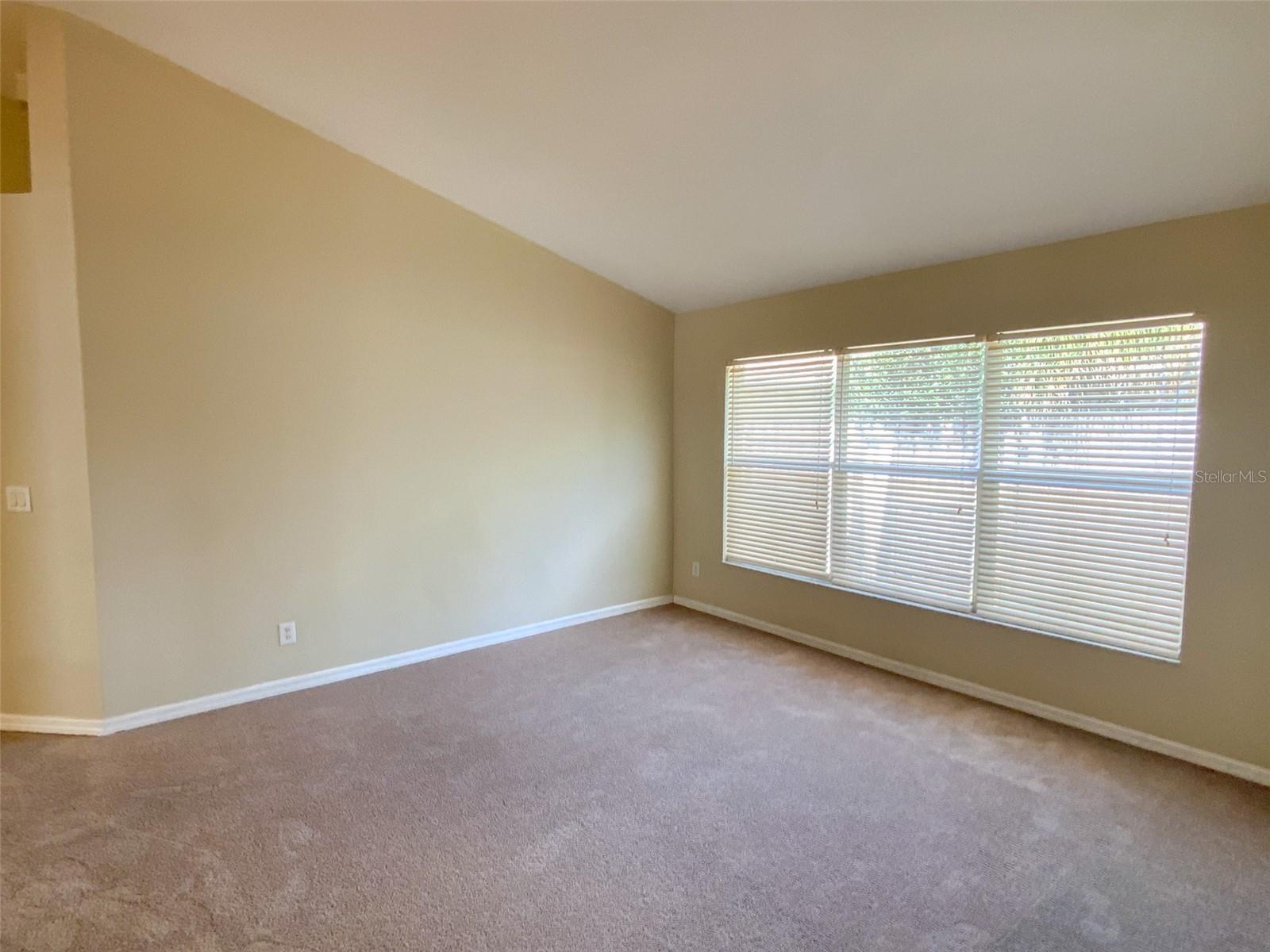 2838 BILLINGHAM DR, LAND O LAKES, FL, 34639